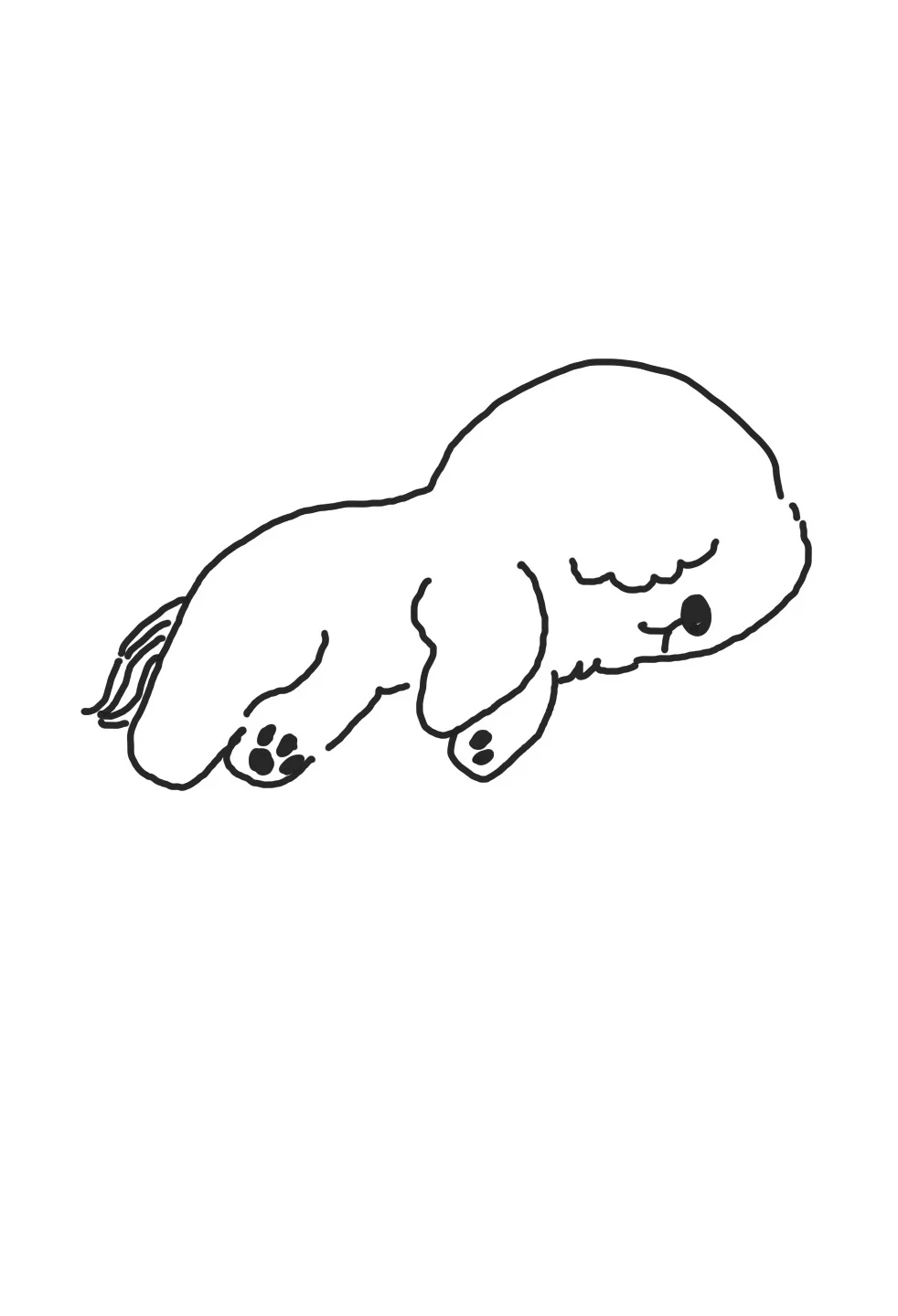 Human Etiquette Towards Animals