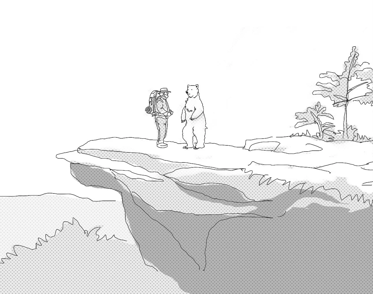 Choosing Books and ‘A Walk in the Woods’
