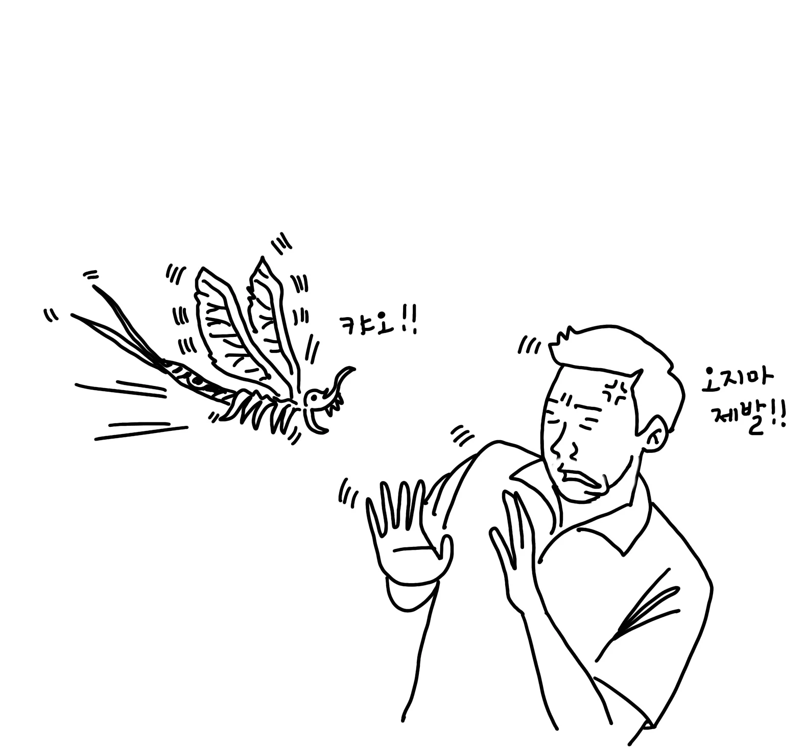 The Bug of Apgujeong and Summer