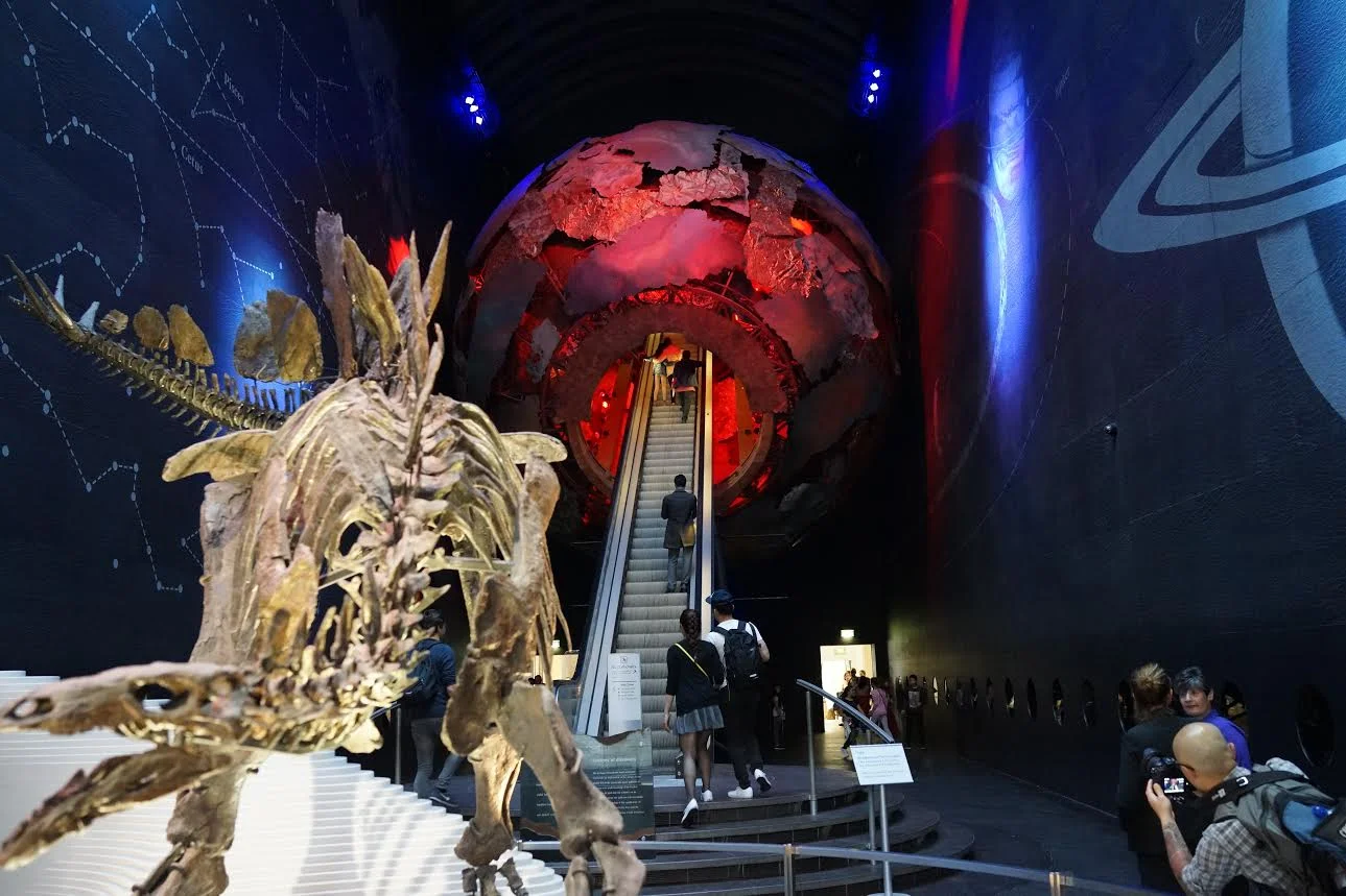 Natural History Museum and Dinosaurs