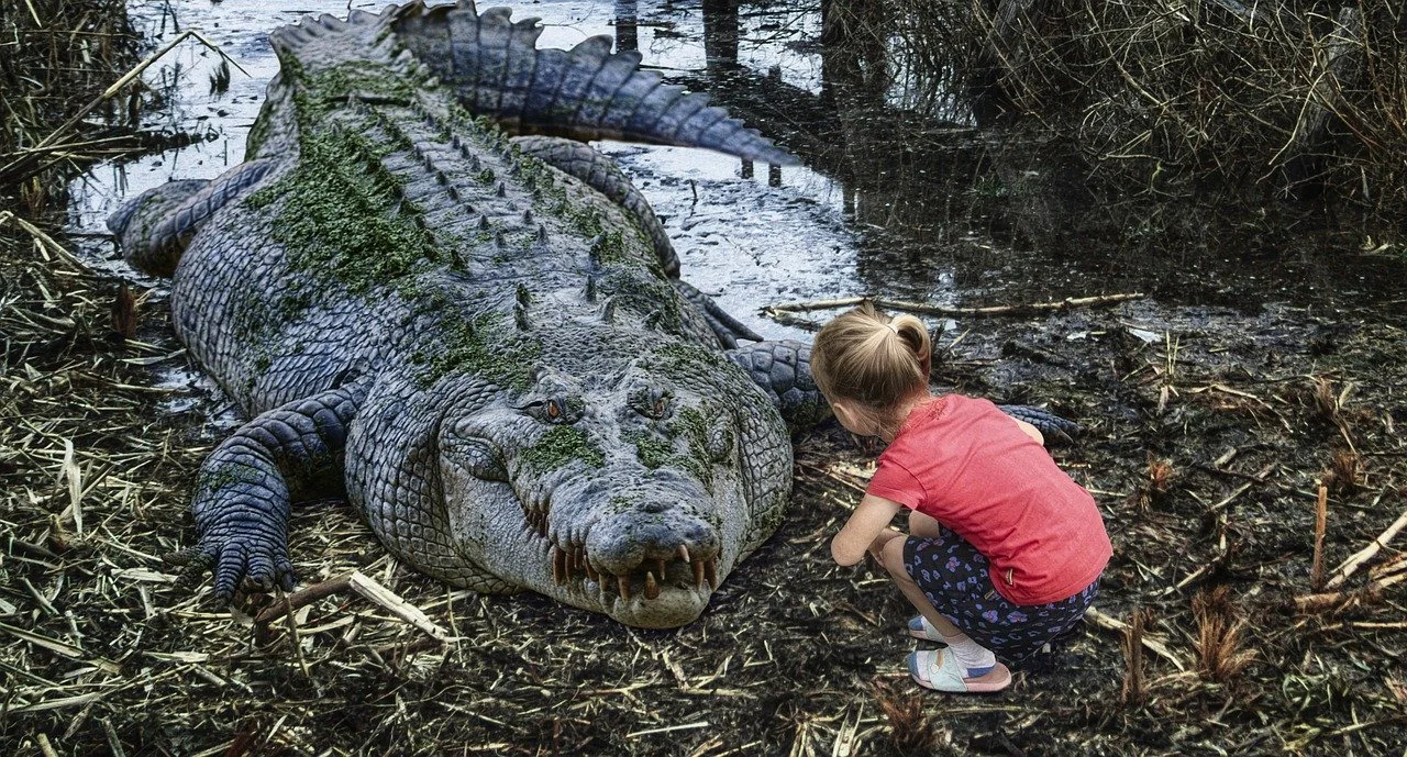 Tote Bags and the Crocodile Farms of Zimbabwe