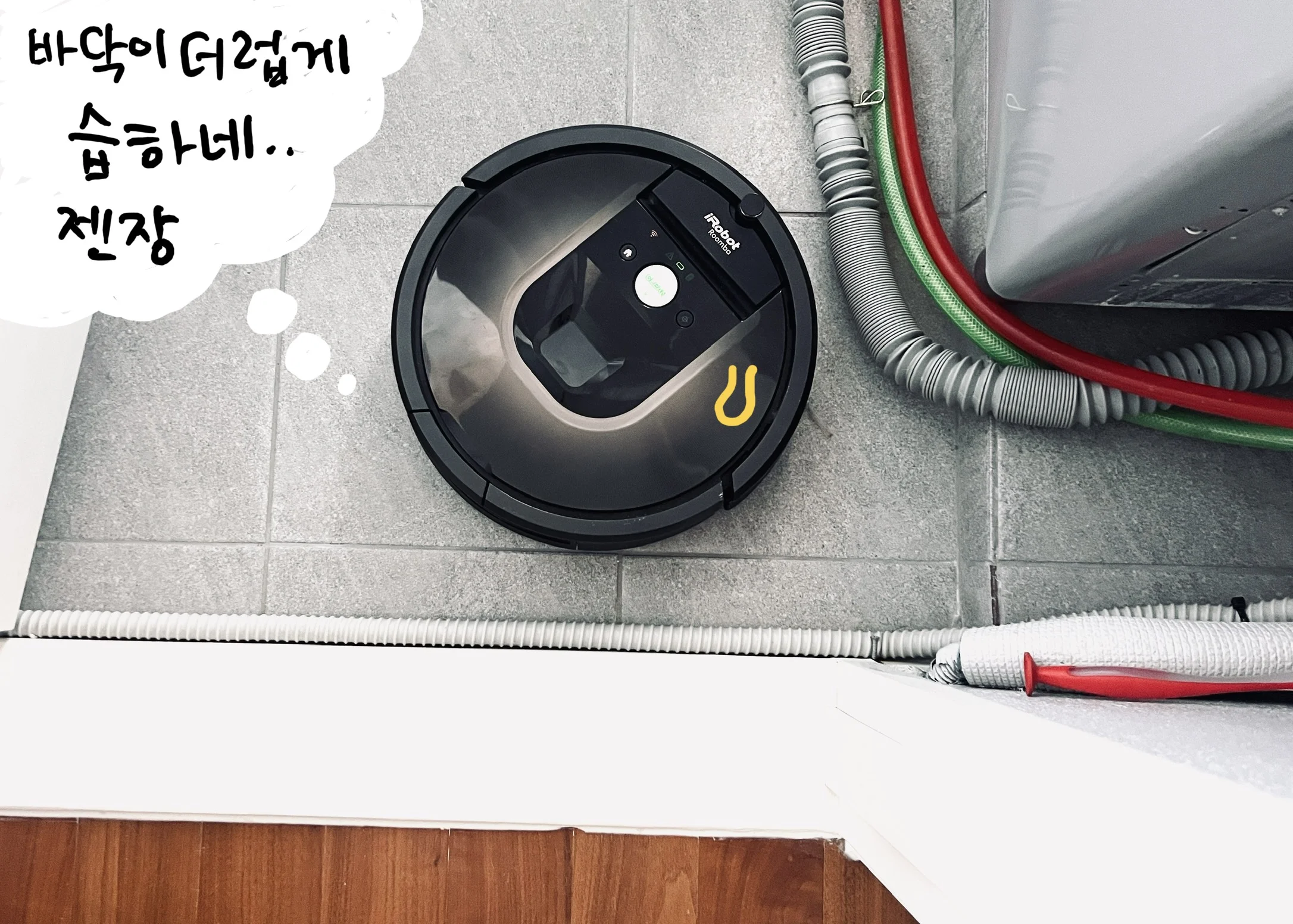 The Robot Vacuum and the Ways of Nature