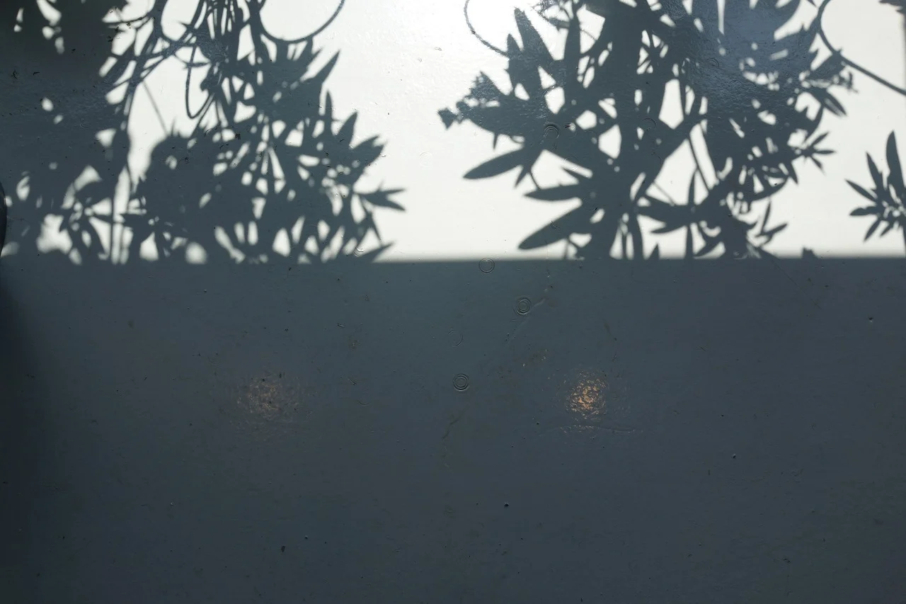 The Perfect Jam for Hot Days